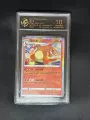 10-Point Rating Card / Charizard (Simplified Chinese)