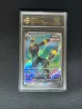10-Point Grading Card / Moon Eevee - Simplified Chinese Version