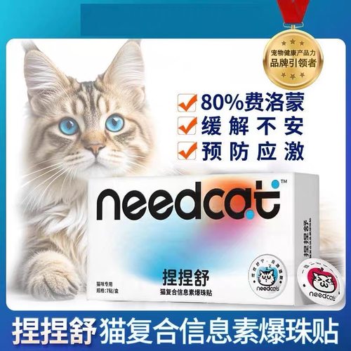捏捏舒防应激安抚猫情绪激动
