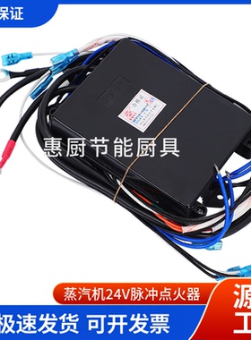 24伏蒸汽机脉冲点火器配件万友