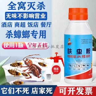 大面积灭蟑螂药酒店饭店餐厅厨房强力杀蟑螂药专用家用喷雾杀虫剂