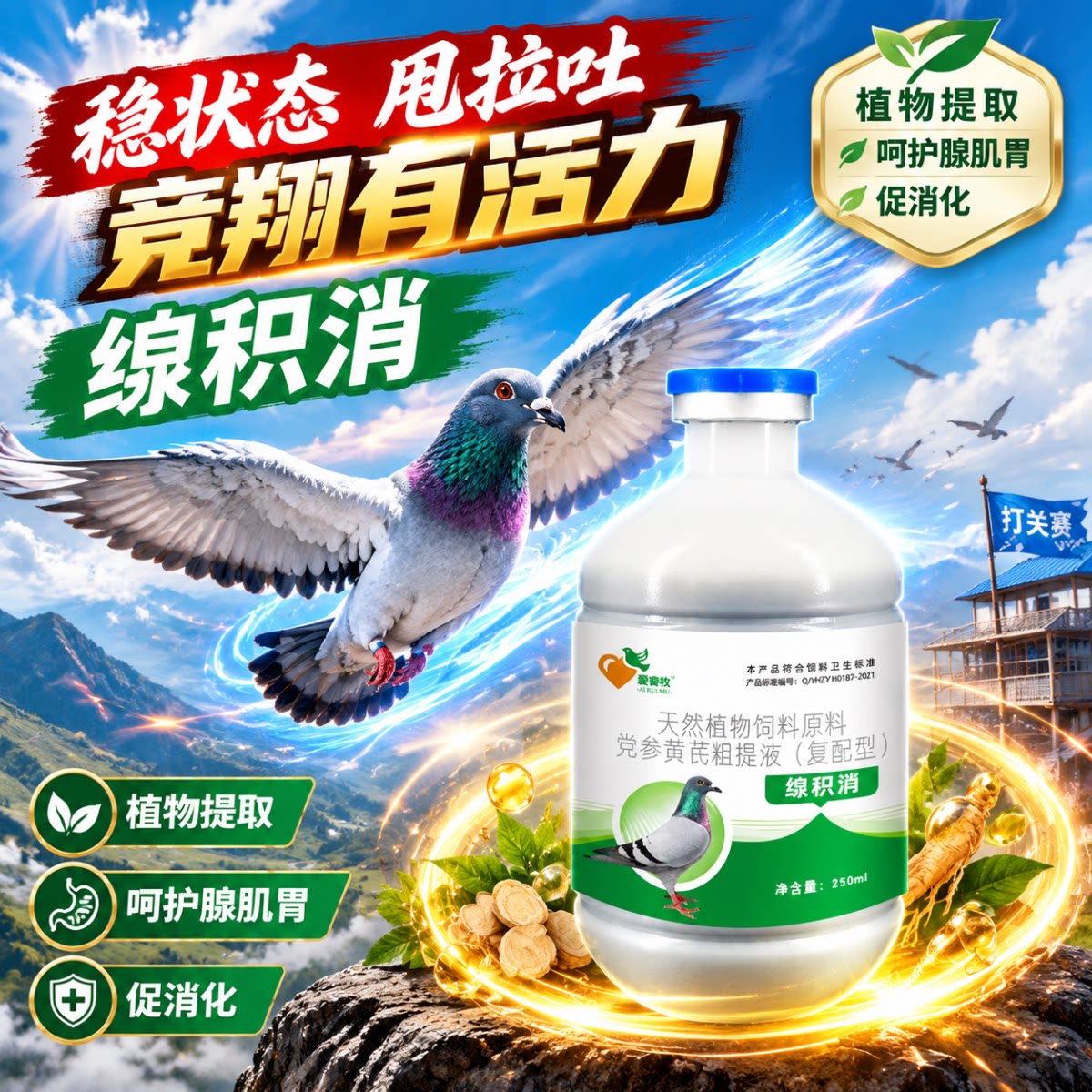 腺积消赛鸽党参黄芪粗提液信鸽竞翔调理鸽子肠道稳状态纯中药