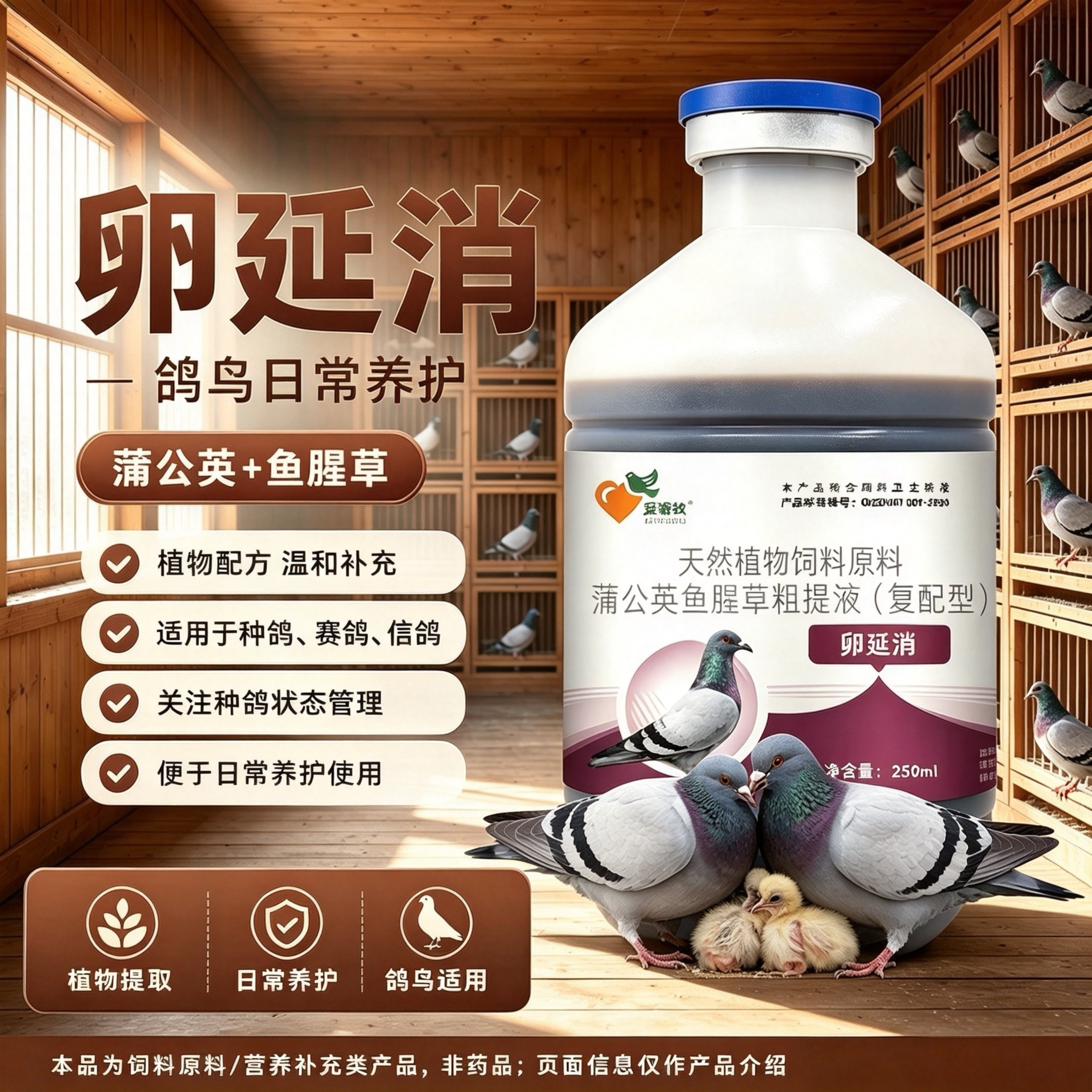卵延消种鸽鸟类生直系统消延