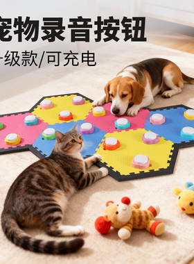 迷你宠物录音按钮充电交流按铃猫咪玩具训练说话按键狗狗解闷神器