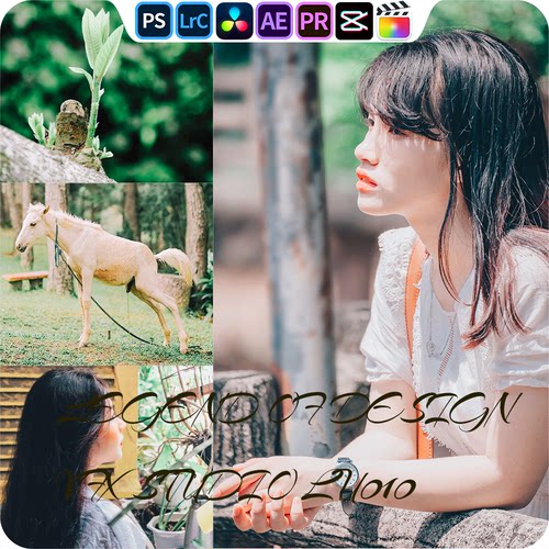 ROS201 富士nc cc nn｜lr预设PR滤镜PS达芬奇LUTs达芬奇剪映FCP