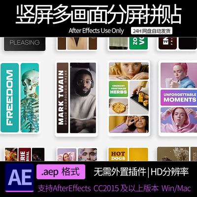 ae模板 竖屏多画面分屏拼贴图文介绍展示动画 ae素材模板