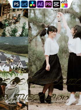 SYS207 旅拍胶片｜lr预设PR滤镜PS达芬奇LUTs达芬奇剪映FCP