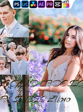 WEDS201 婚礼跟拍｜lr预设PR滤镜PS达芬奇LUTs达芬奇剪映FCP