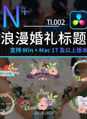 达芬奇模板预设插件 浪漫婚礼标题 Wedding Romantic Titles