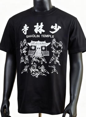 重磅230克t恤少林寺短袖纯棉文化衫男女武术练功表演复古vintage