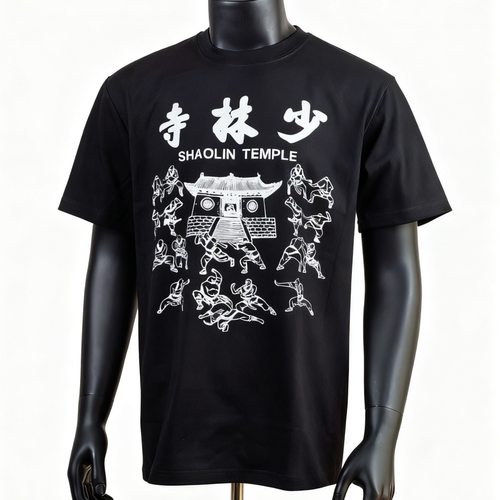 重磅230克t恤少林寺短袖纯棉文化衫男女武术练功表演复古vintage