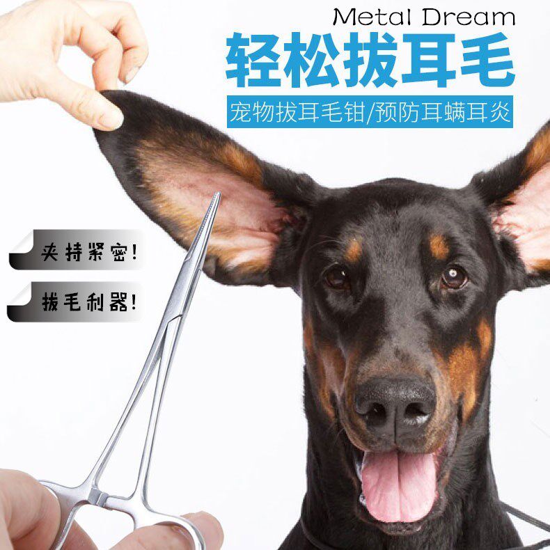 不锈钢宠物耳朵清洁拔毛钳 适用中小型犬猫拔毛工具 棉花止血钳大