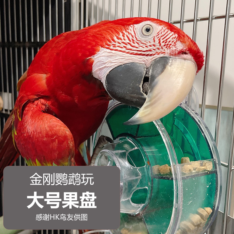 鹦鹉玩具鹦鹉益智玩具CAITEC