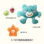 美国宠物狗狗玩具 玩具 10斤小型犬套装 泰迪雪纳瑞贵宾比熊