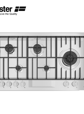 Foster 意大利进口厨房电器 嵌入式五眼燃气灶 7201032