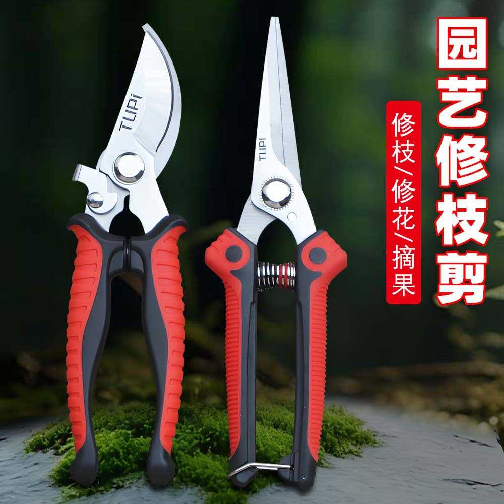力拓专业修枝剪刀园林果树修剪图片