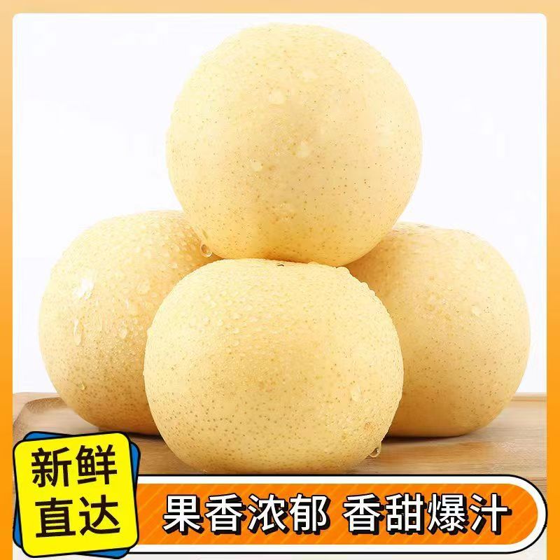 梨子水果皇冠梨脆甜黄冠梨河北正宗皇冠梨酥脆甜多汁新鲜水果当季
