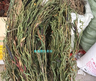 中药材软肝草 铁甲草 益肝草  肝/ 炎草 中草药全草干品