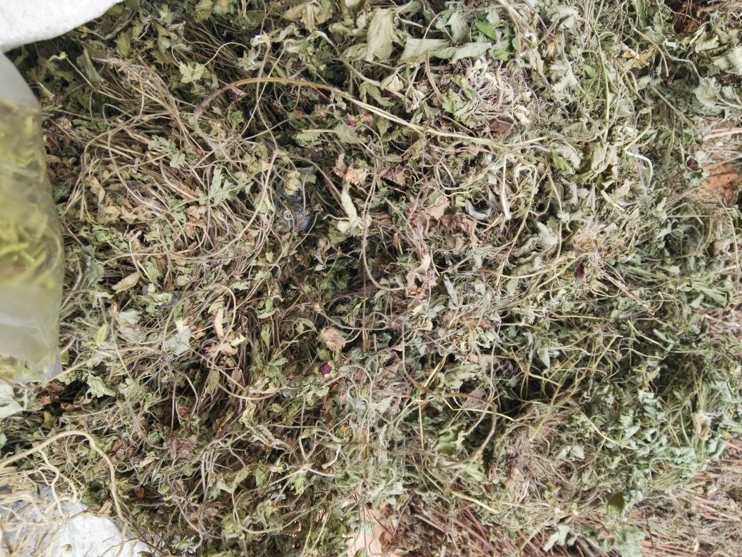 纯正中草药蛇莓 蛇泡草、蛇盘草 蛇果草、野杨梅 地莓 干品500克