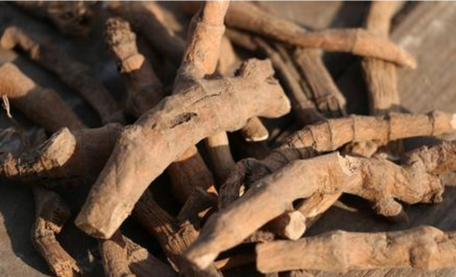 中药材三白草根 三白根 过塘藕 塘边藕 百节藕 水莲藕干品货