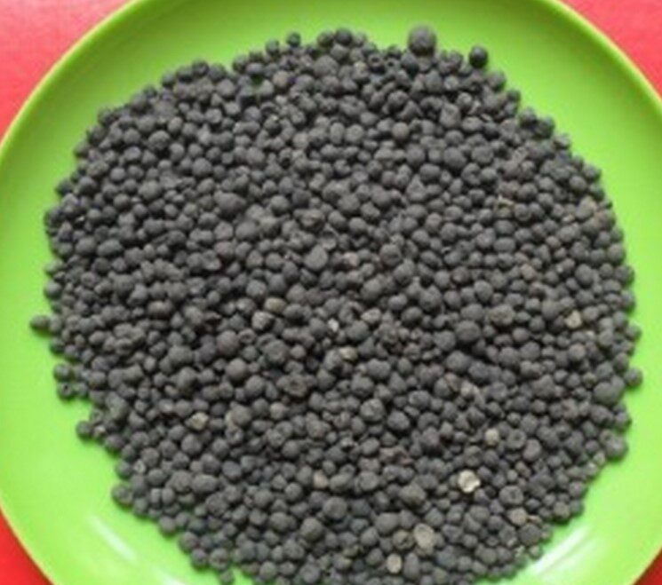中药材地下明珠 落地珍珠 陈伤子 茅膏菜根 一滴金丹 50克