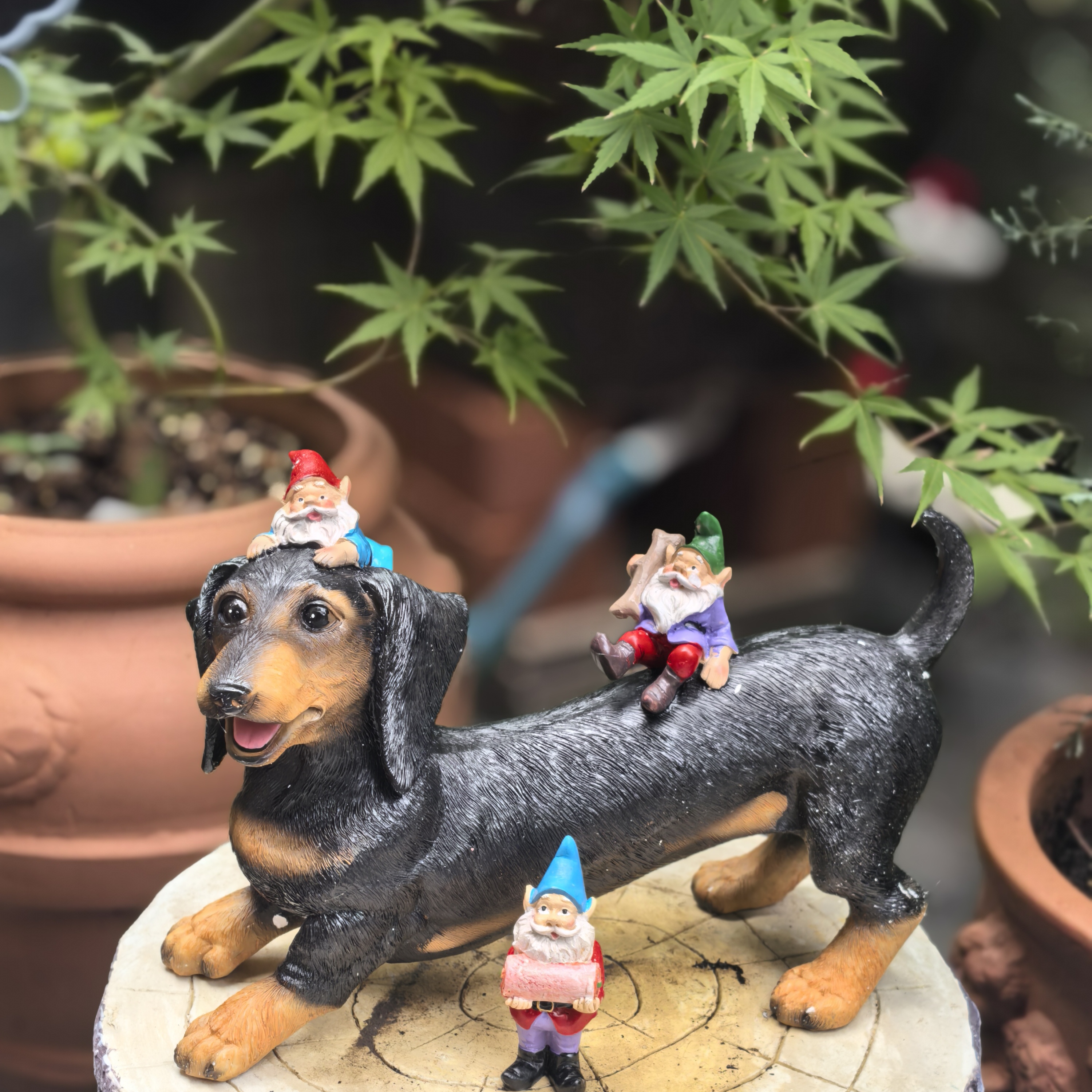 新品腊肠狗侏儒小矮人雕像树脂摆件圣诞节狂欢布置庭院装饰