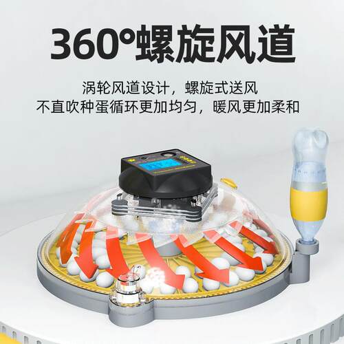 新品热销小型家用孵化器全自动孵蛋器智能养殖孵化机鸡蛋孵化箱