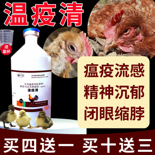 瘟疫清养鸡专用救命药鸡病全治