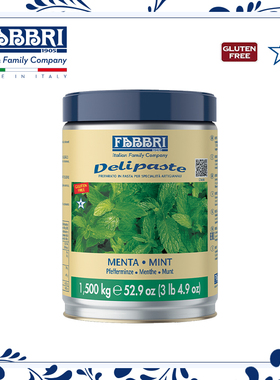 Fabbri法布芮绿薄荷调味酱1.5kg