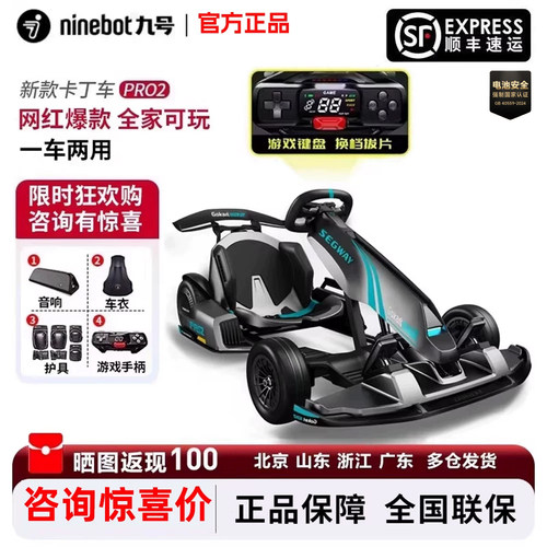 九号卡丁车PRO2儿童成年人漂移车