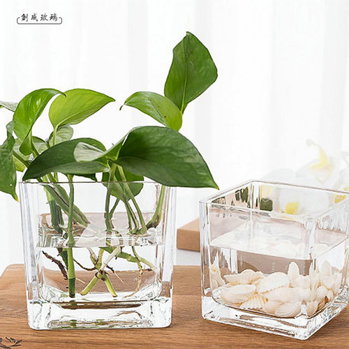 加厚透明水培玻璃方缸花瓶桌面摆件简约鱼缸绿萝10箱起批方形花瓶