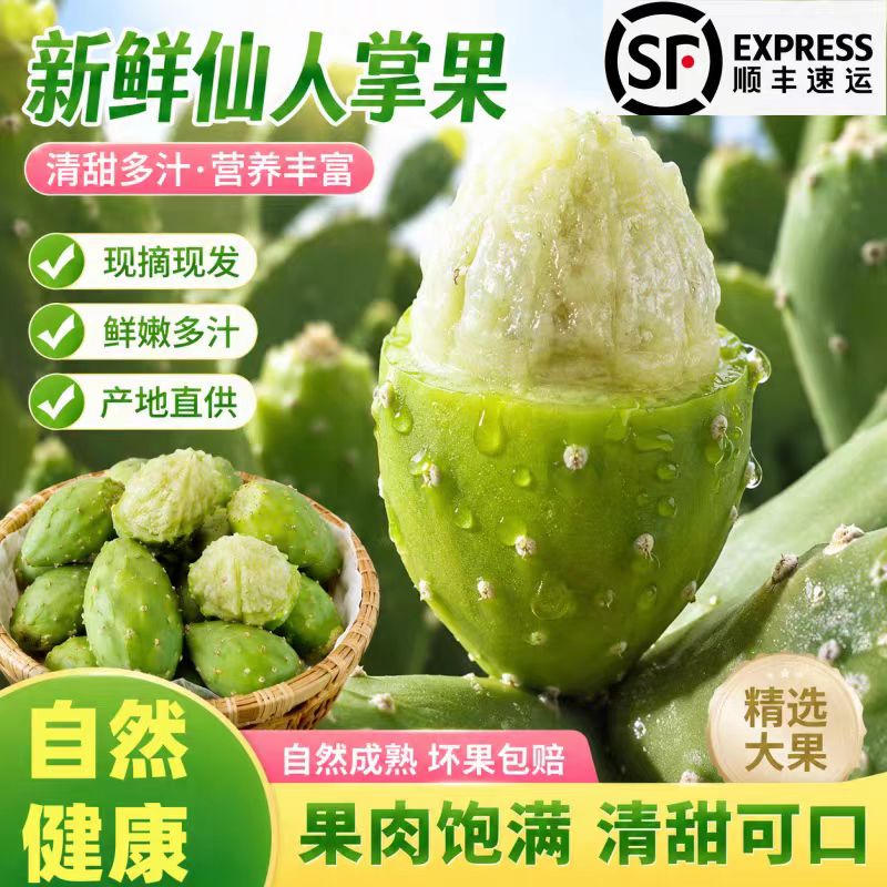 四川泸定可食用新鲜仙人掌果