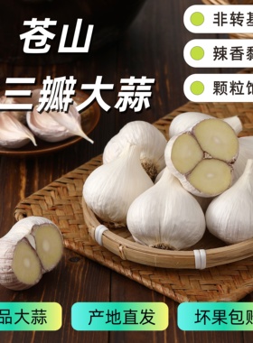 25年苍山二三瓣大蒜头山东大蒜三瓣蒜新干蒜1/3/5斤
