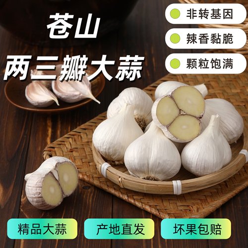 25年苍山二三瓣大蒜头山东大蒜三瓣蒜新干蒜1/3/5斤