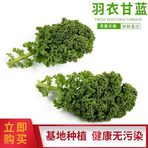京东直达羽衣甘蓝新鲜蔬菜2-5斤