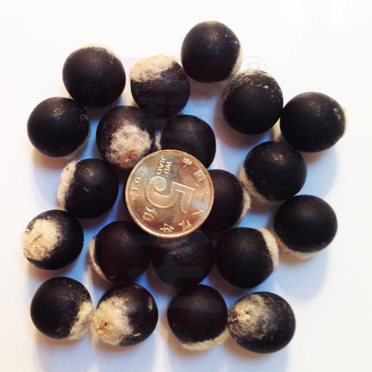 23年新货野生无患子种子不含果皮木患子圆皂角新鲜手剥果核500克