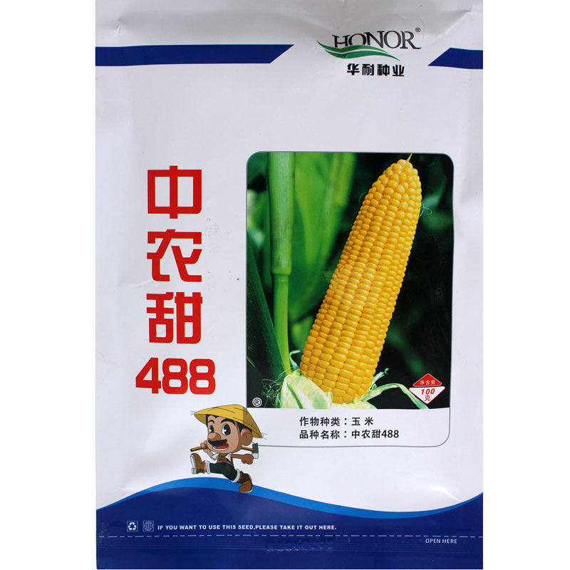 中农甜488牛奶香超甜水果玉米种子生吃四季春夏秋种籽高产优质孑