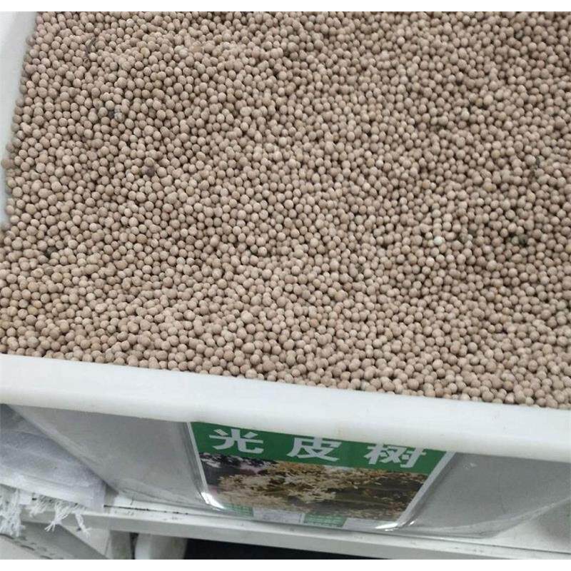 光皮树种子 毛 车梁木种子 凉子木 苦檀 灯台树种子林木种籽