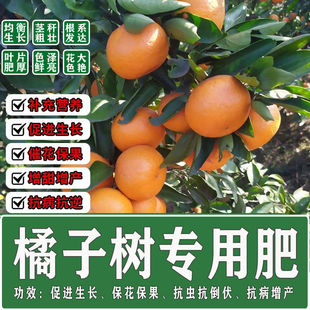 柑橘专用肥料金桔子树橘子树复合肥柚子柠檬高钾肥保果增甜高产肥