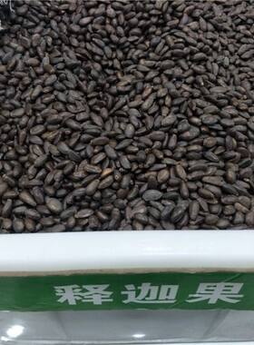 番荔枝种子 释迦果种子 樟林林檎 嫁接凤梨释迦的粘木种子