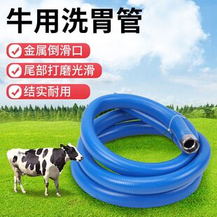 牛用开口器大牛洗胃管投药管兽用灌药器羊用喂药器牛犊吃药洗胃器