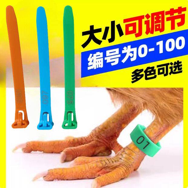 鸡脚环拉链式鸡用脚环标识环多功能鸡鸭鹅标签环扎带养殖标记笔图片