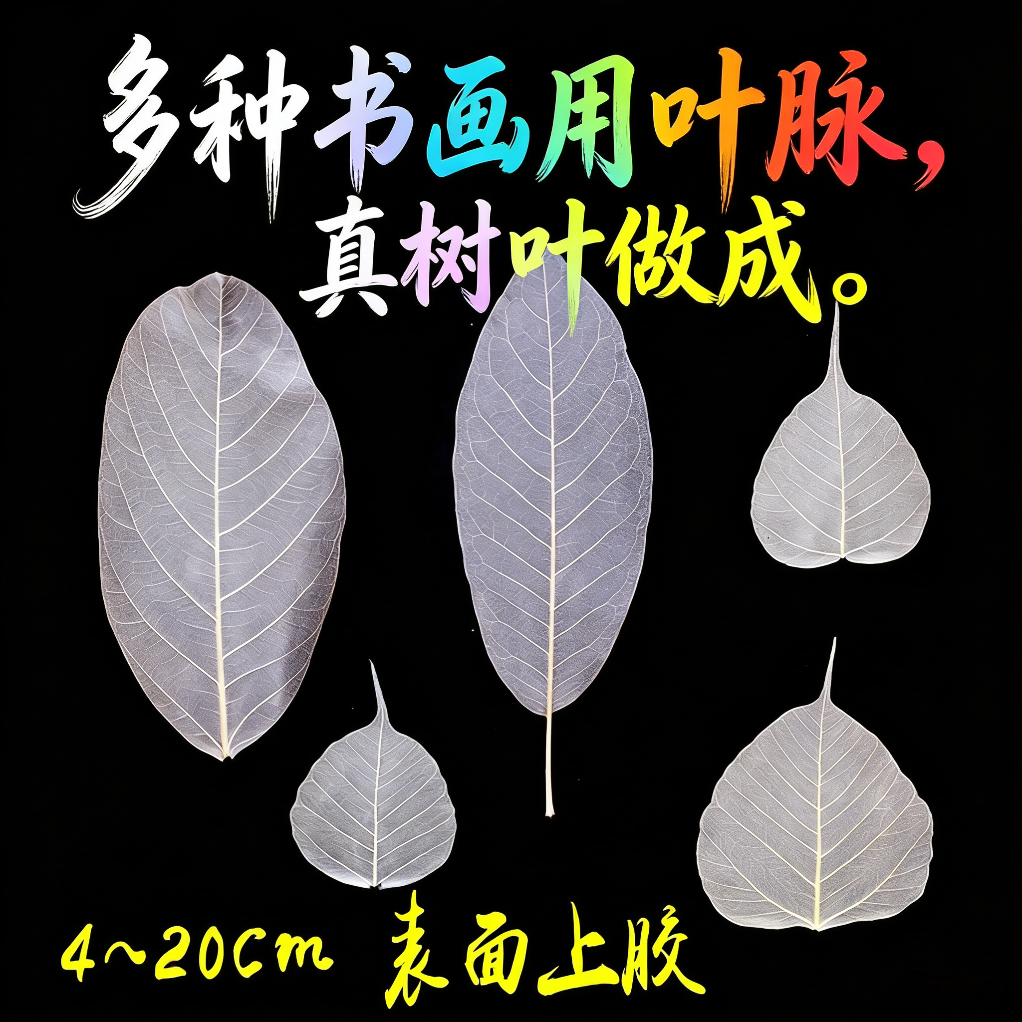 书画用天然树叶叶脉 书画专用菩提叶片 书法画画佛像唐卡宣纸叶脉
