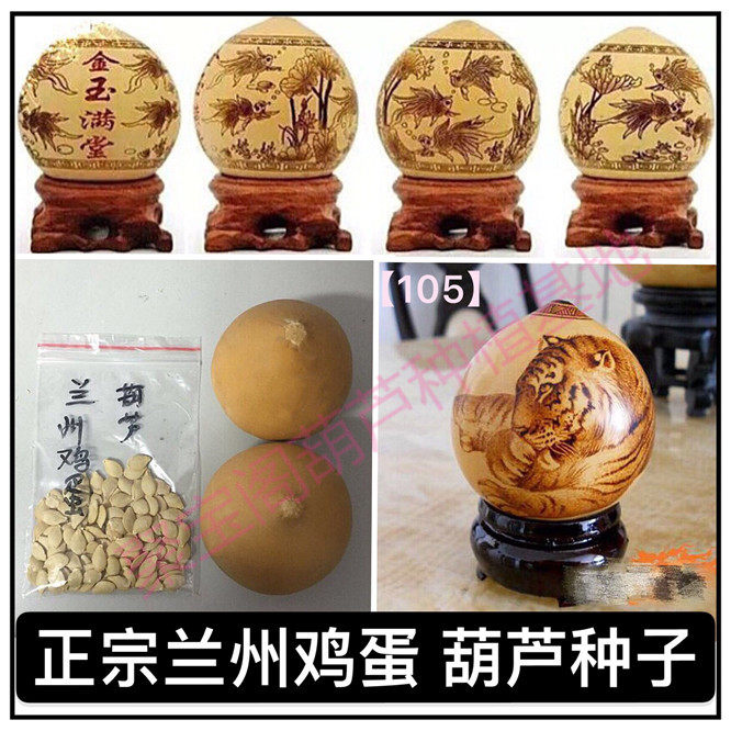 兰州鸡蛋葫芦种烙画押花针刺特小八宝文玩天津嘴超大亚腰瓠子籽