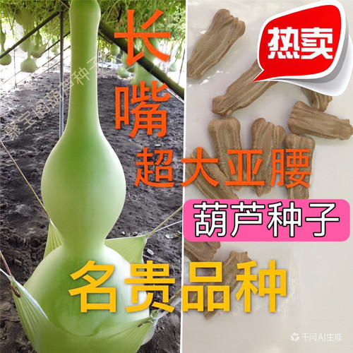 长嘴超大亚腰葫芦种子巨型特大籽
