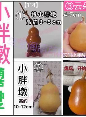 云朵梨葫芦种子特小胖墩葫芦籽