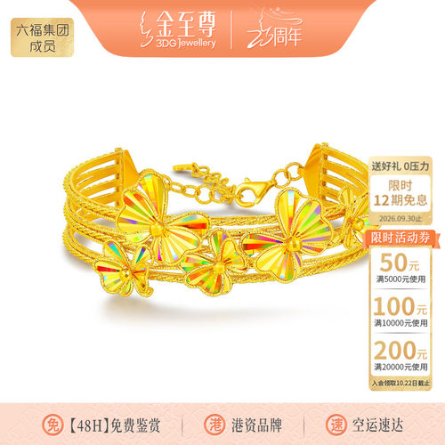 金至尊闪醉金黄金手镯2026新足金手镯生日礼送老婆蝴蝶轻奢金镯子