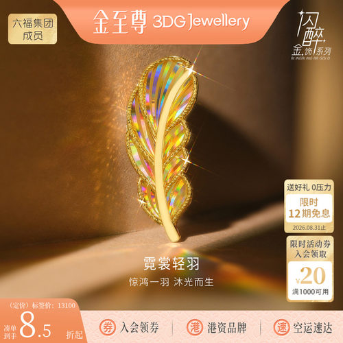 金至尊闪醉金西服礼物黄金羽毛胸针男女款硬足金幻彩炫彩黄金首饰
