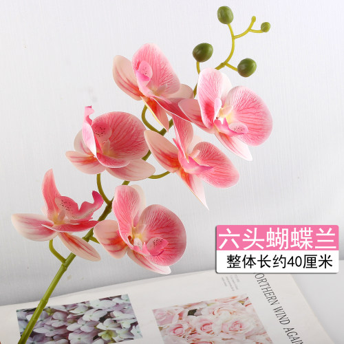 仿真花蝴蝶兰盆栽假花摆设
