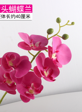 仿真花蝴蝶兰盆栽假花摆设